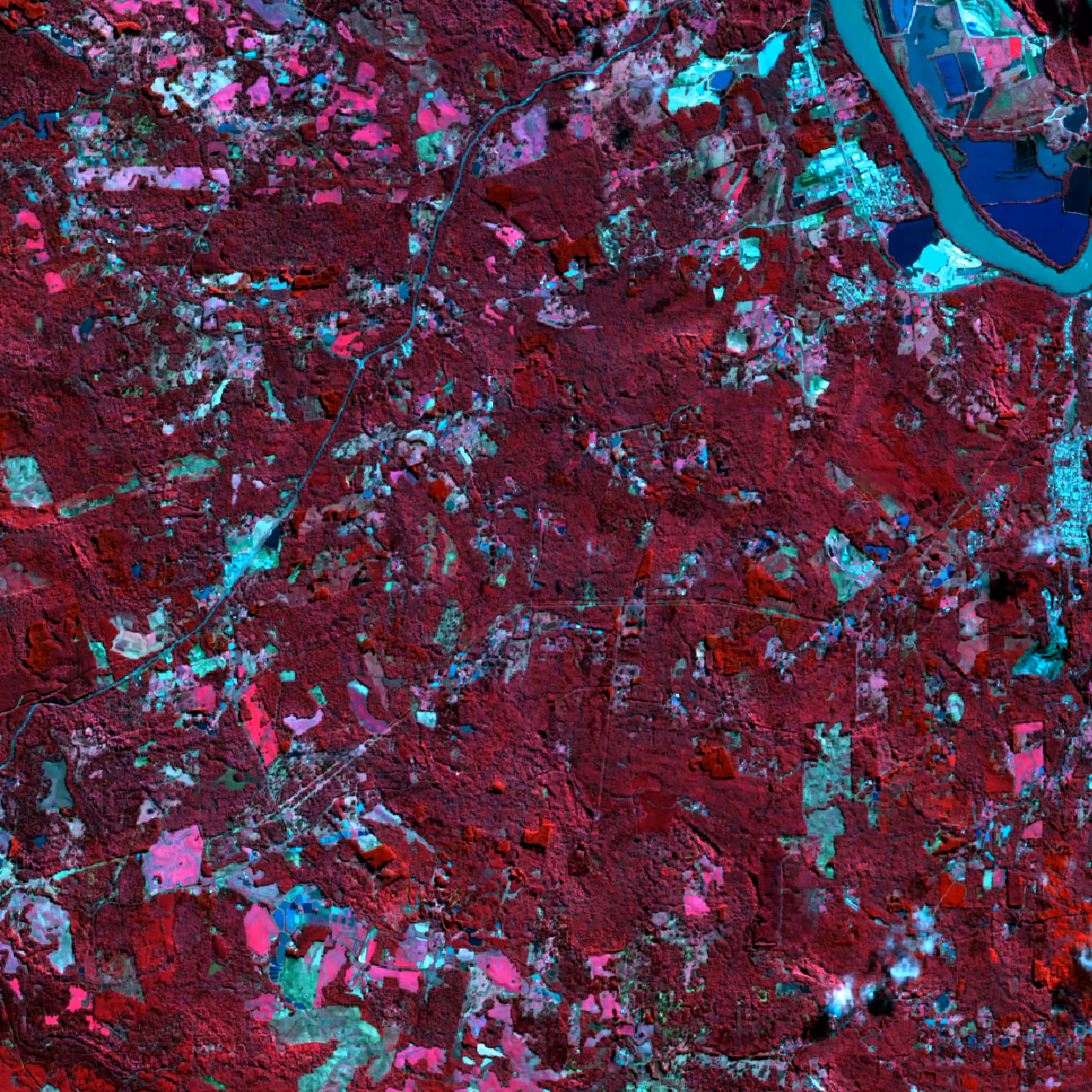 Imagem de satélite Sentinel-2 em composição infravermelho colorido.