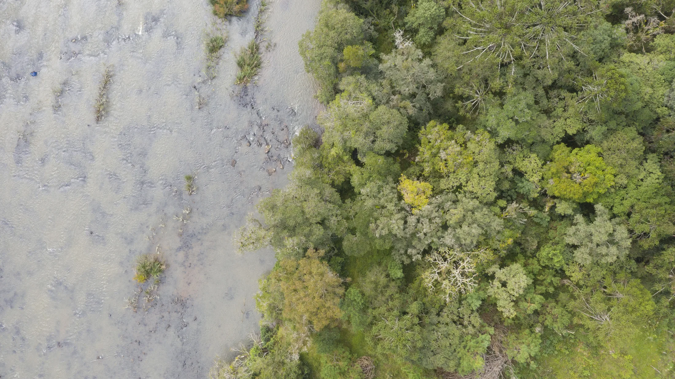 imagem_drone_rio_floresta_app