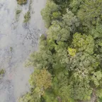 drone_jangada