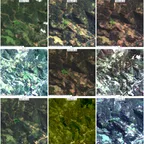 mosaico_landsat1